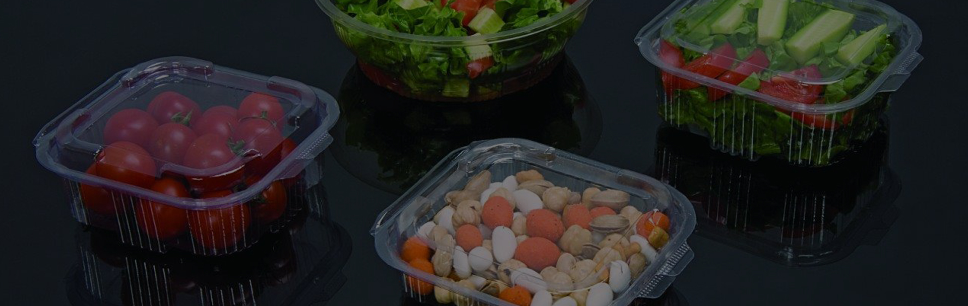 Royal Plastik & Termoform